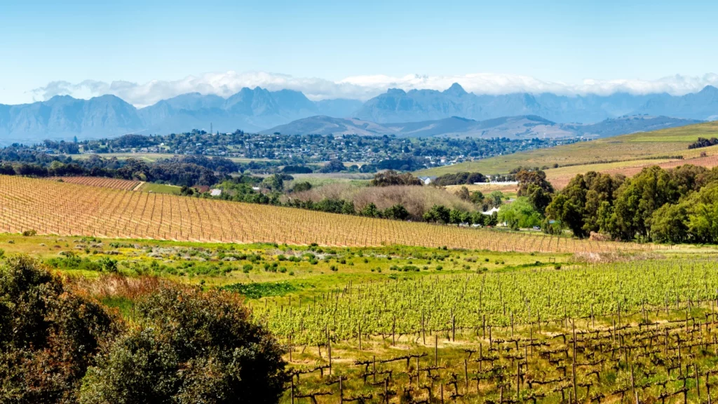 Hotel in Durbanville